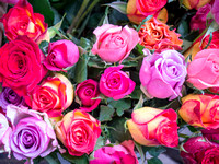 Flower market, Paris