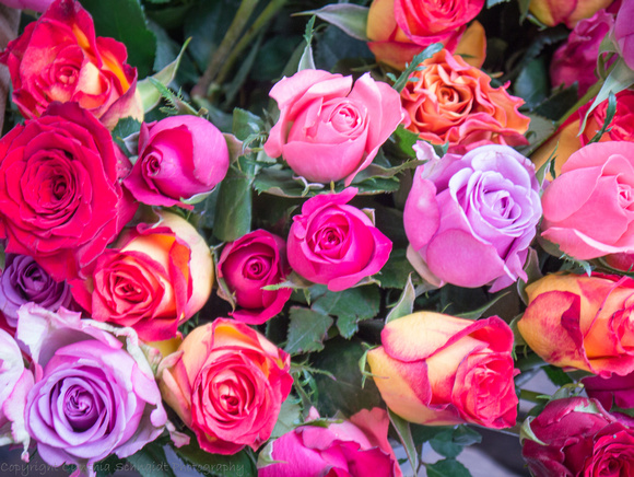 Flower market, Paris