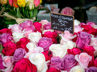 Flower market, Paris