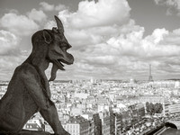 Notre Dame Gargoyle, Paris